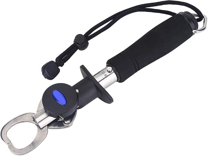 3 in 1 Fish Lip Grip Tool with Digital Scale 15kg, Fish Grabber for Freshwater Fishing, Stainless Steel EVA Foam Handle