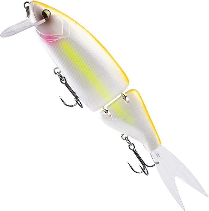 Glide Bait, Slow Sinking Swimbait, Topwater Hard Lures for Bass Catfish,Pike Perch, Freshwater or Saltwater