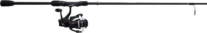 Abu Garcia Max SX Spinning Reel and Fishing Rod Combo