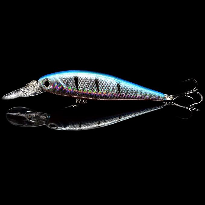 10 Pack Fishing Lures Hard Baits, Minnow Crankbait & Swimbait Lure Kit for Freshwater & Saltwater, Bass, Trout, Walleye, Redfish