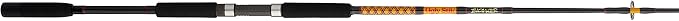 Ugly Stik Bigwater Spinning Fishing Rod