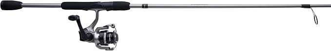 Abu Garcia Max X Spinning Reel and Fishing Rod Combo