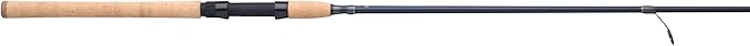 Pflueger President XT Spinning Rod