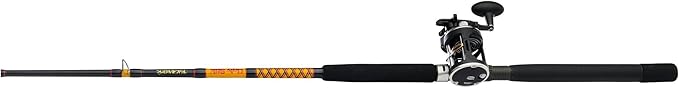 Ugly Stik Bigwater Casting Fishing Rod & Penn Rival Level Wind Conventional Reel Combo