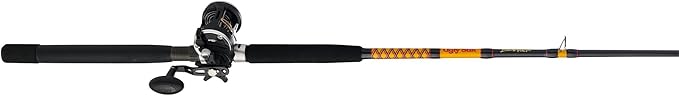 Ugly Stik Bigwater Casting Fishing Rod & Penn Rival Level Wind Conventional Reel Combo