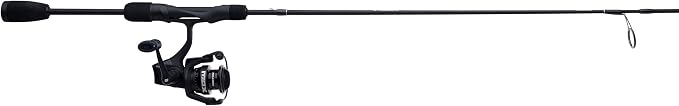Abu Garcia Max SX Spinning Reel and Fishing Rod Combo