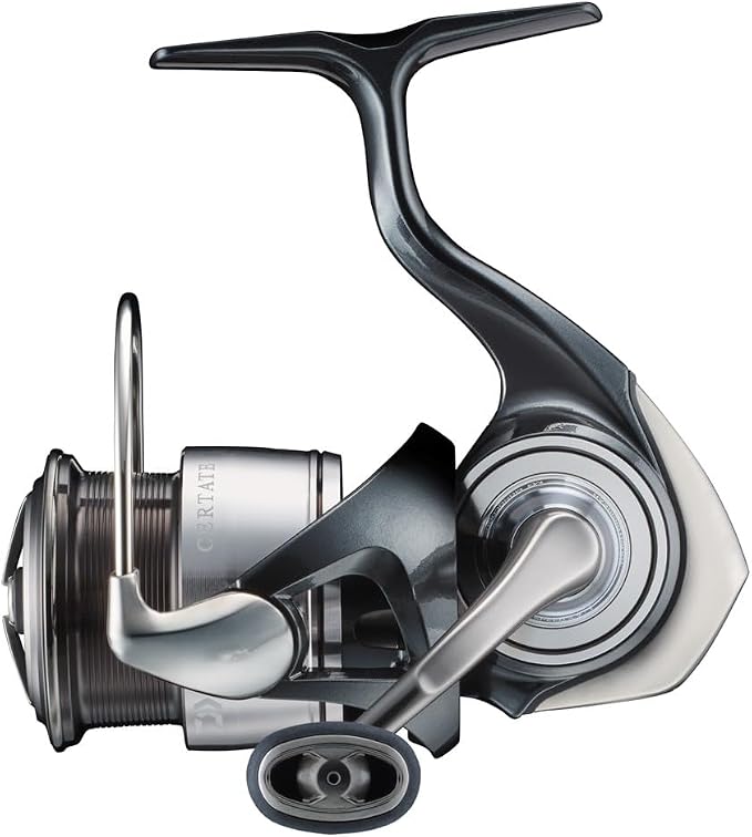 Daiwa 24 Celtate Spinning Reel, Various (2024 Model)
