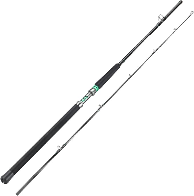 Sougayilang Spinning & Casting Catfish Rod,2 piece Medium Heavy Portable Travel Catfish Fishing Rod (7'/7'6"/8')
