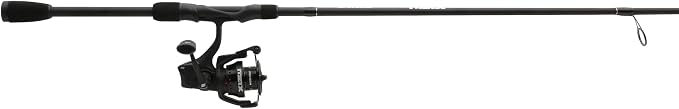 Abu Garcia Max SX Spinning Reel and Fishing Rod Combo