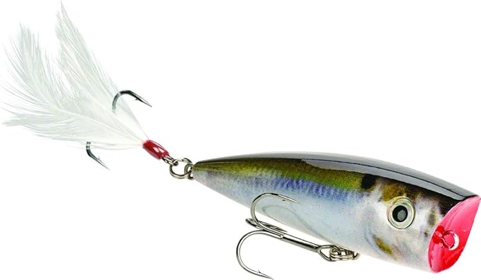 Strike King Junior KVD Splash Hardbait Series Bait