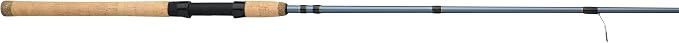 Pflueger President Spinning Rod