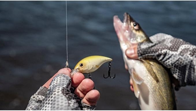Berkley Money Badger Fishing Hard Bait