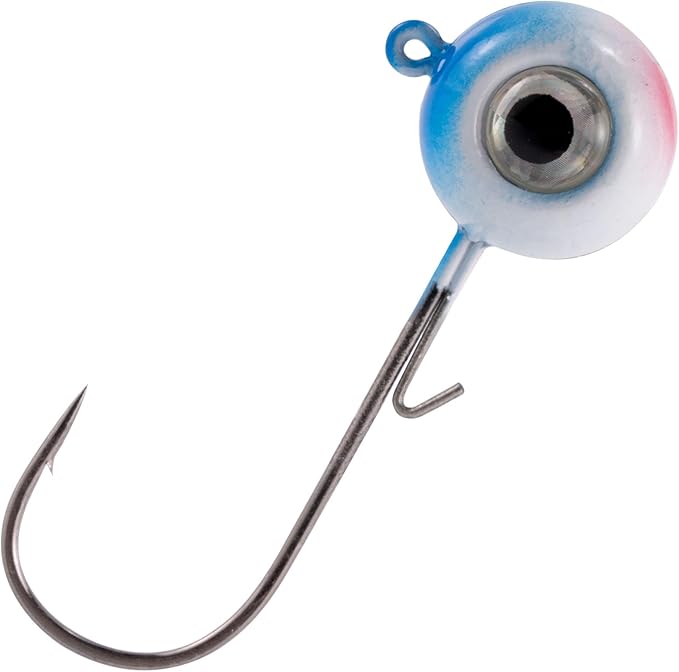 Dr.Fish 10 Pack 3D Eye Fishing Jig Heads Ball Swimbait Jig Saltwater Freshwater Bass Walleye Fishing Hooks Crappie Trout