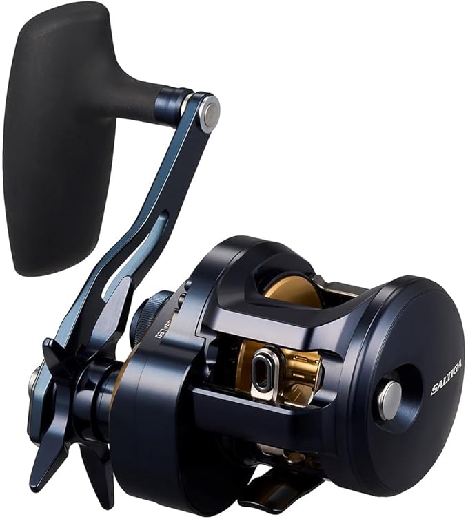 Daiwa SALTIGA Jigging Bait Reel (2025 Model)
