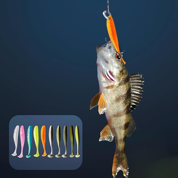 50 Pcs Soft Silicone Baits Paddle Tail Swim Baits Fishing Lures Glide Bait Paddle Tail Swimbaits Lures Bass Fishing Bait Pre-Rigged Jig Head Soft Fishing Lures Kit Trout for Saltwater Freshwater