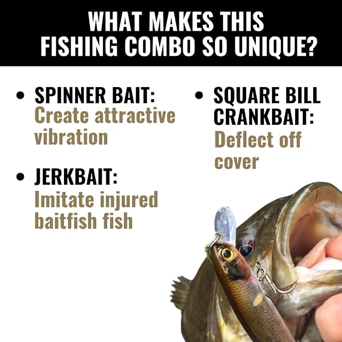 LUNKERHUNT Deep Diving Crankbaits – 4-Pack | Premium Hard Bait Fishing Lures for Bass, Walleye & Saltwater | Ideal for Deep Water Action