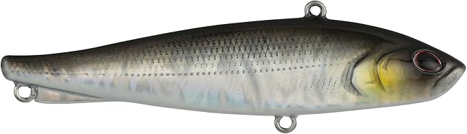 Berkley Ripfish