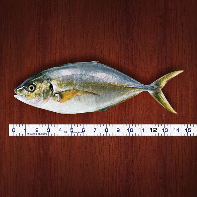 Adhesive Fish Ruler - 40 Inch Measuring Tape for Fishing Boat, Kayak, Cooler, Workbench - Waterproof Sticker