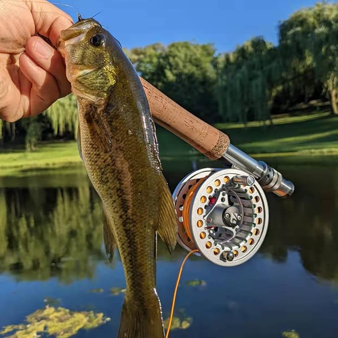 Kylebooker Large Arbor Fly Fishing Reel 3/4wt 5/6wt 7/8wt