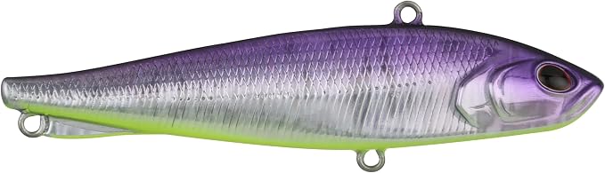 Berkley Ripfish