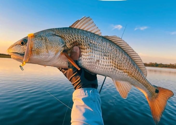 Top Water Co. Fishing Speed Clips - Durable Stainless Steel, Fast Lure Connector (Multiple Sizes)