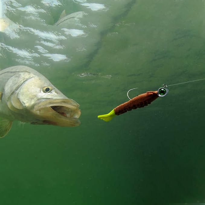 Dr.Fish 10 Pack Fishing Eyes Jigs 3D Eyes Trout Heads Bass Hook Saltwater Swimbait Jig Heads Freshwater Walleye Redfish Striper 1/2oz 3/8oz 1/4oz 3/16oz