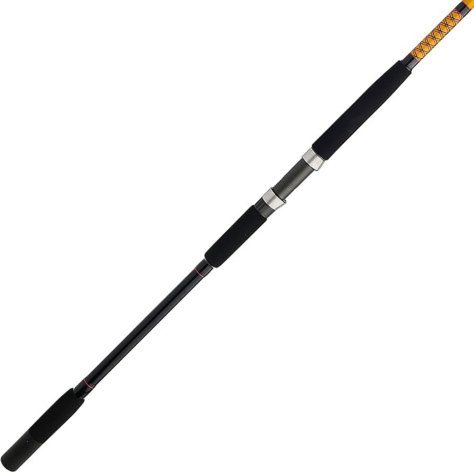 Ugly Stik Bigwater Spinning Fishing Rod