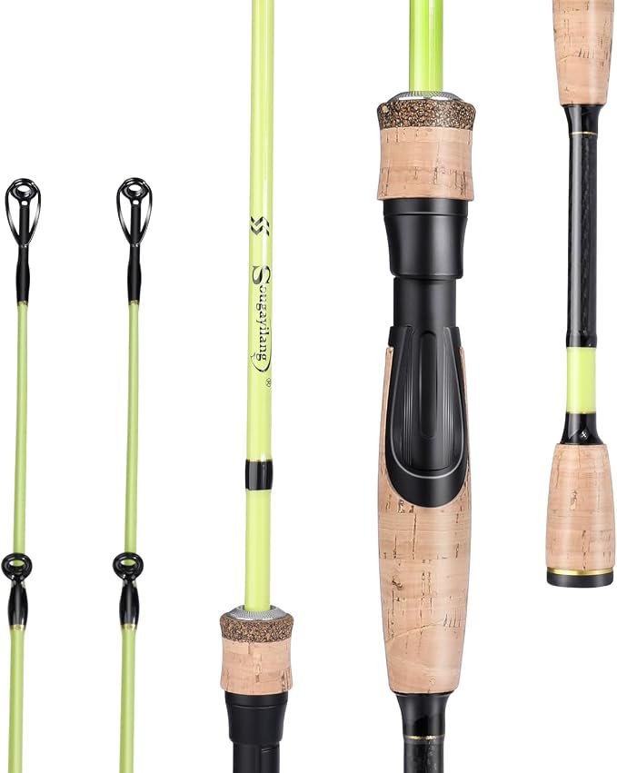 Sougayilang Fishing Rod, 2Pc Casting Rod Spinning Rod for Freshwater Tournament Quality Fishing Pole with 2 Tips for Bass
