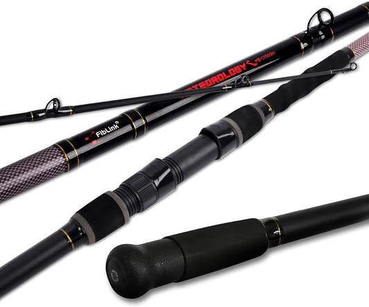 Fiblink Surf Fishing Rod 2 Piece/3 Piece/4 Piece Portable Travel Casting Rod Saltwater Surf Rod (9'/10'/12'/13')