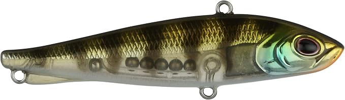 Berkley Ripfish