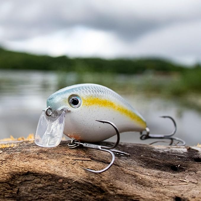 Strike King KVD 2.5 Wake Bait Fishing Lure, 3/8 oz, Unique Clacking Sound