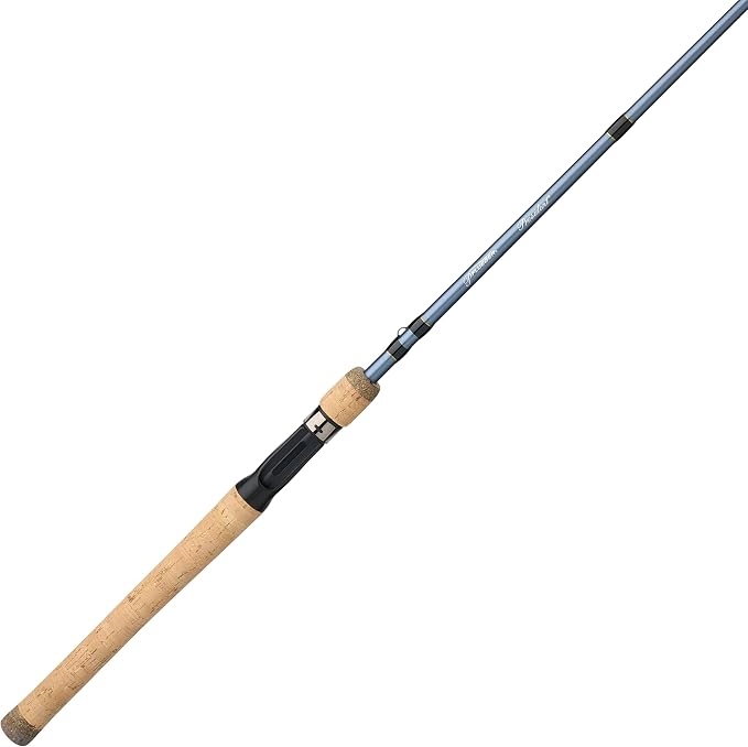 Pflueger President Casting Rod