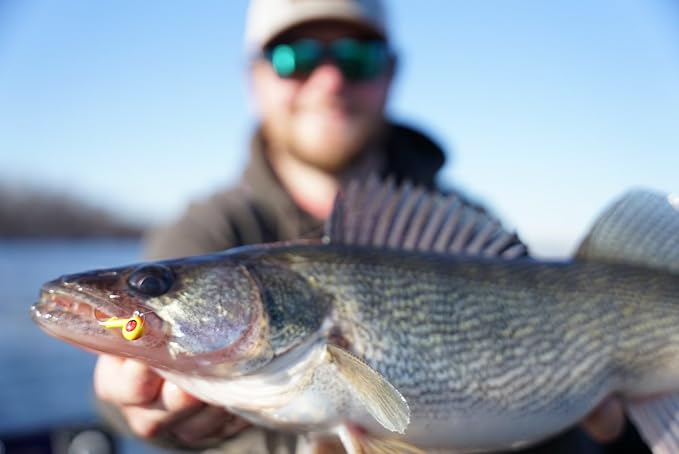 Northland Fishing Tackle Freshwater Tungsten Short Shank Fishing Jig for Bass, Walleye, Trout, and Many Others