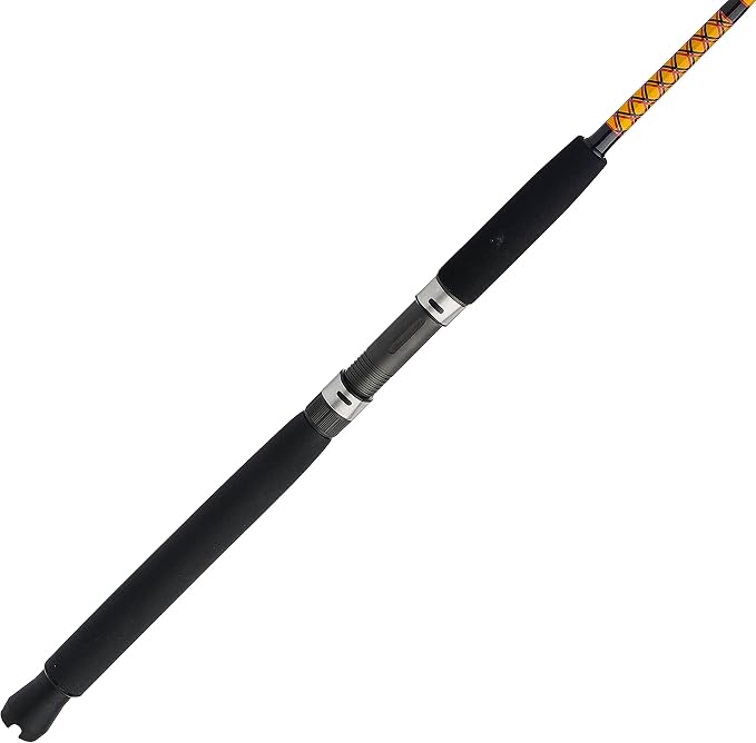 Ugly Stik Bigwater Casting Fishing Rod