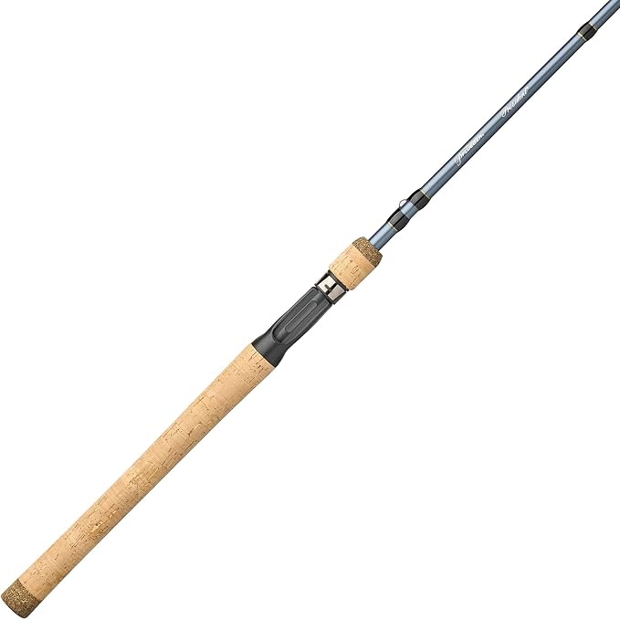 Pflueger President Casting Rod