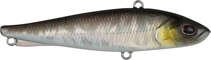 Berkley Ripfish