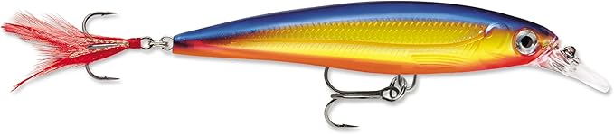 Rapala X-Rap Jerkbait XR10 Fishing Lure