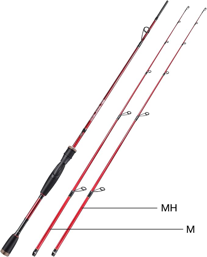 Sougayilang Fishing Rod, 2Pc Casting Rod Spinning Rod for Freshwater Tournament Quality Fishing Pole with 2 Tips for Bass