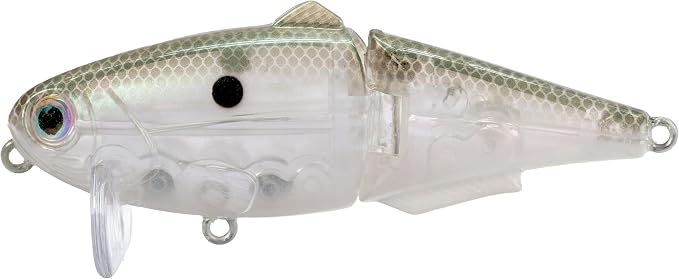Strike King (HCWS2-568) Wake Shad Fishing Lure, Single Jointed Swimming Topwater Wakebait, 1-Ounce, Size 2 Treble Hooks, Green Gizzard Shad