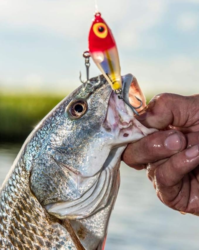 Bomber Lures Badonk-A-Donk Topwater Fishing Lure - Saltwater Grade