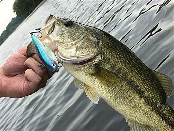 Heddon Spit'N Image Fleeing Shad Crankbait Fishing Lure, 3 1/4 Inch, 7/16 Ounce