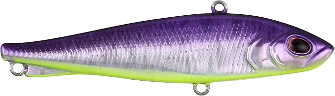 Berkley Ripfish