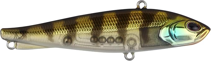Berkley Ripfish