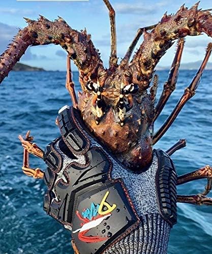 D Vein Lobster Gloves for Diving Kevlar Spearfishing Dive Glove Puncture Resistant