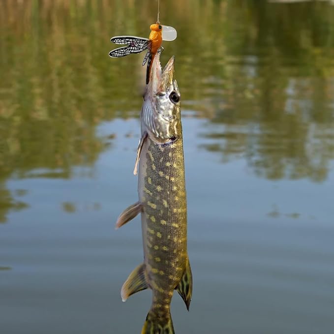 Topwater Fishing Lures Insect Fishing Lures Dragonfly Fishing Lures Dragonfly Lure Fishing Bait with Hooks for Outdoor Fishing Tools