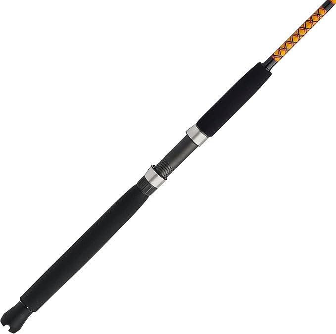 Ugly Stik Bigwater Casting Fishing Rod