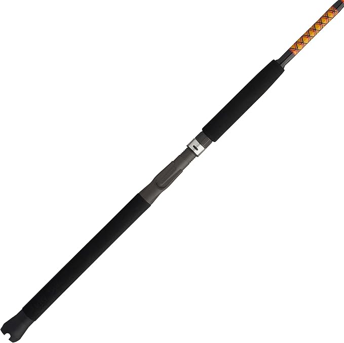 Ugly Stik Bigwater Casting Fishing Rod