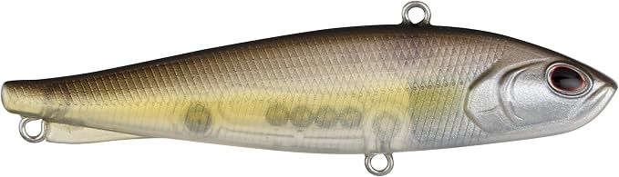 Berkley Ripfish
