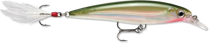 Rapala X-Rap Jerkbait XR10 Fishing Lure