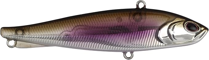 Berkley Ripfish